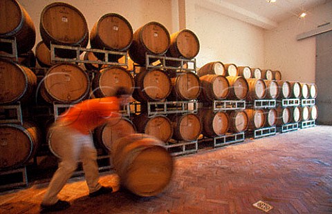 Barrel cellar at Montevetrano winery   San Cipriano Picentino Salerno   Campania Italy