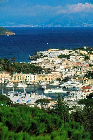 Harbour at Ischia Campania Italy