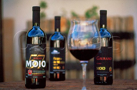 Bottles and glass of Moio wine   Mondragone Campania Italy