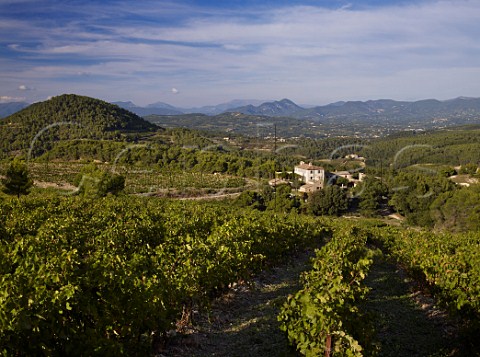 Domaine de Mourchon and its vineyards high in the Dentelles de Montmirail above Sguret Vaucluse France Ctes du RhneVillages