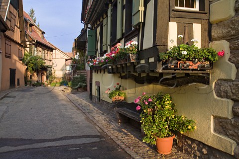 Flower boxes decorating a side street in Turckheim   HautRhin France  Alsace