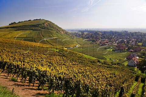Drachenloch vineyard on the slopes of Letzenberg   seen from Brand Grand Cru vineyard Turckheim   HautRhin France  Alsace