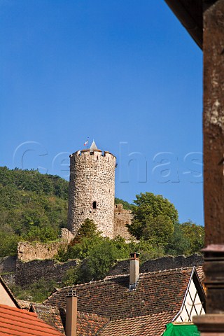 Kaysersberg castle seen from the town HautRhin   France  Alsace