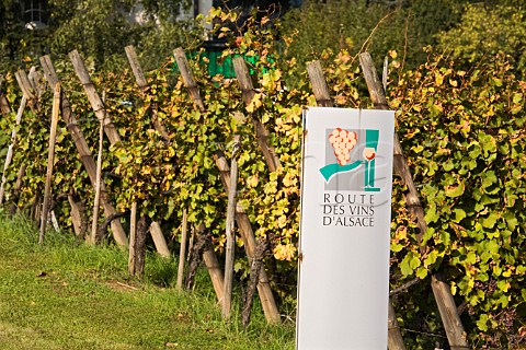 Route des Vins dAlsace sign at entrance to the wine   village of Bennwihr HautRhin France  Alsace
