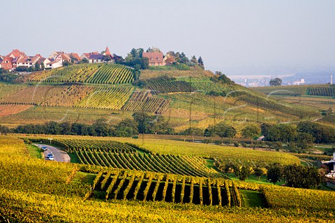 Froehn Grand Cru vineyard and Zellenberg seen from   Schoenenbourg Grand Cru vineyard Riquewihr   HautRhin France  Alsace