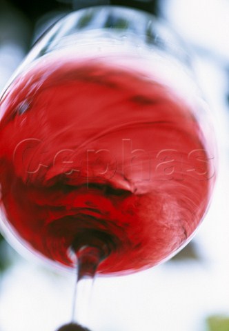 Glass of Pinot Noir wine