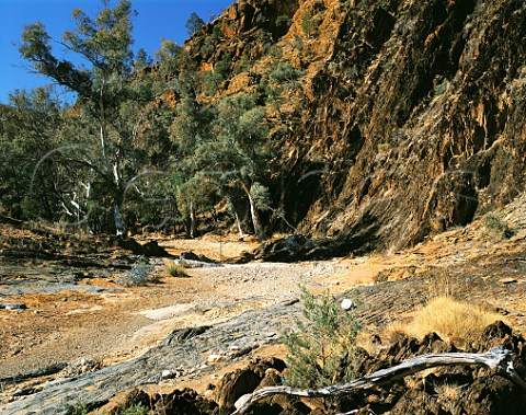Weetootla Gorge in the Gammon Ranges National Park the northern end of the Flinders Ranges South Australia