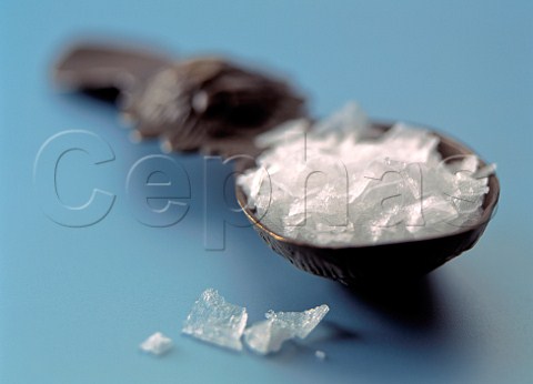 A wooden spoon of rock salt crystals