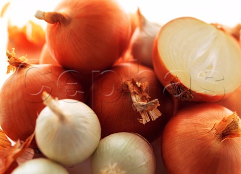Assorted onions