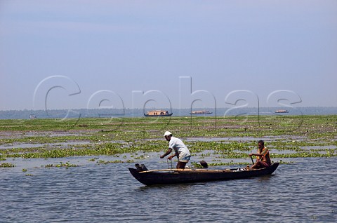 Fisherman in long rowing boat on one of Indias largest lakes part of the Kuttanad the backwaters of Kerala known as the Venice of the East Kerala India