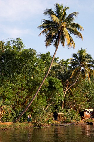 Two young girls standing on the path amongst the palm trees and dense vegetation on the banks of the Kuttanad the backwaters of Kerala known as the Venice of the East Kerala India