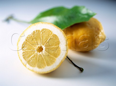 Italian Amalfi lemons