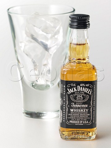 Mini Jack Daniels