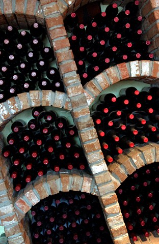 bins in restaurant wine cellar