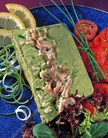 Salmon and spinach terrine with salad