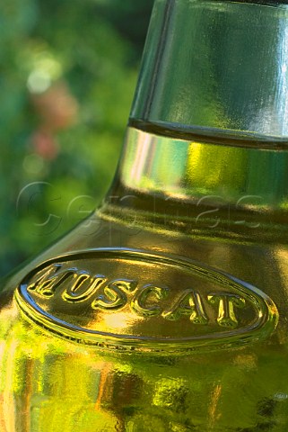 Closeup on a bottle of Muscat de Rivesaltes fortified sweet white wine