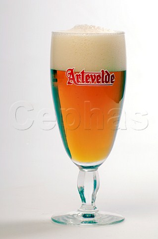 Glass of Artevelde beer Brouwerij Huyghe Belgium