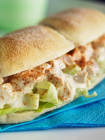Chicken salad roll with paprika