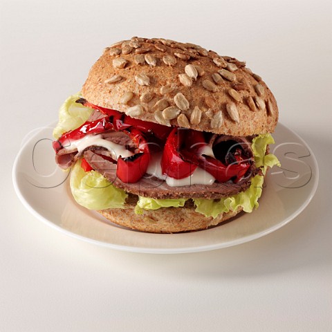 Beef and red pepper salad in a sunflower seed roll