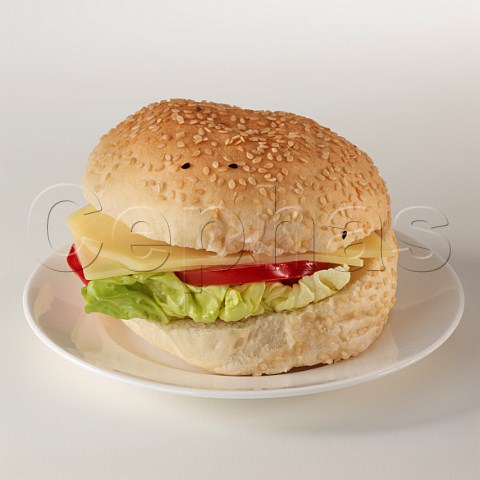 Cheese and salad in a sesame seed roll