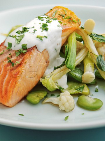 Salmon with chive sauce and spring vegetables