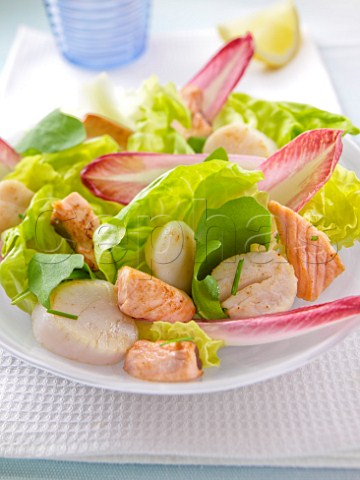 Salmon and scallop salad