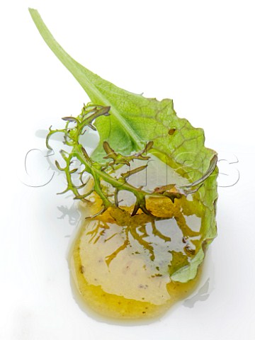 Lettuce leaf rocket and salad dressing