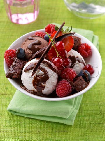 Chocolate and vanilla icecream with fresh fruit