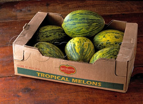 Piel De Sapo melons in a box