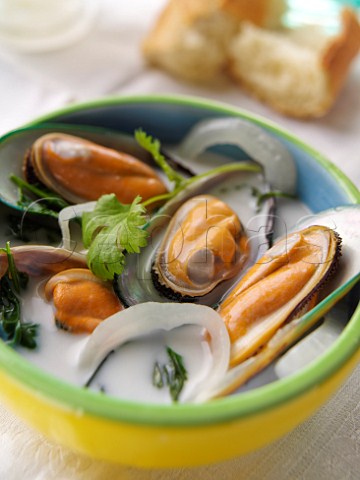 Bowl of mussel and coconut soup