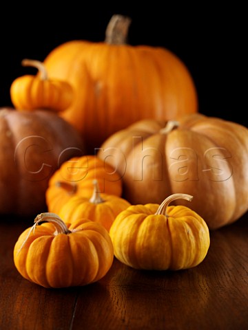 Pumpkin and squashes