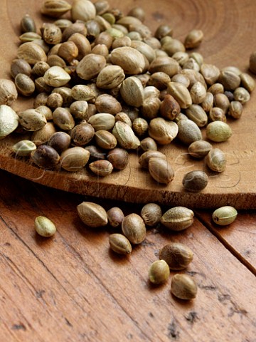 Pile of hemp seeds on a wooden background