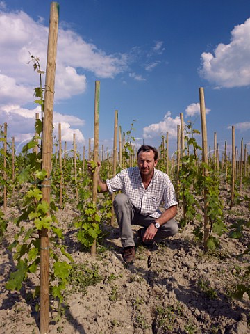 Thierry Germain in a new Cabernet Franc vineyard planted au carr Domaine des Roches Neuves Varrains MaineetLoire France SaumurChampigny