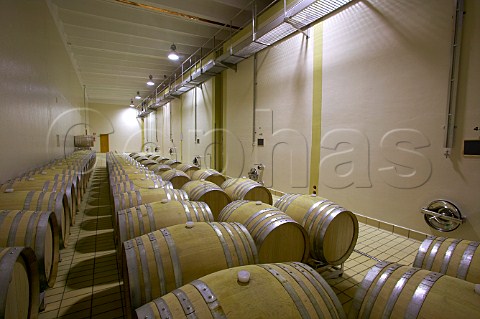 Barrels at Tenute Rapital Camporeale Sicily Italy DOC Bianco Alcamo