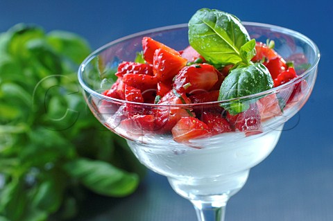 Strawberry yoghurt and basil dessert in a margarita glass