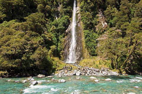 Thunder Creek Falls Haast River Mt Aspiring National Park west coast South Island New Zealand