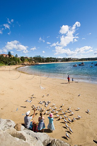 Feeding seagulls on the beach at Terrigal Central Coast New South Wales Australia