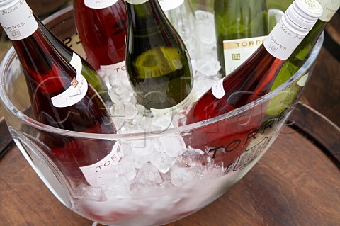 Bottles of Torres white and ros wines in an ice bucket