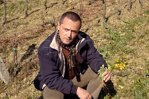Dales dAlessandro vineyard manager of Querciabella Greve in Chianti Tuscany Italy Chianti Classico