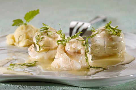 Cod swirls with white sauce and mashed potato