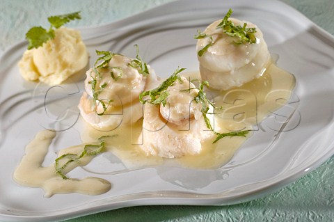 Cod swirls with white sauce and mashed potato
