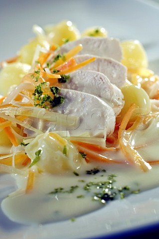 Chicken and vegetable julienne with white sauce