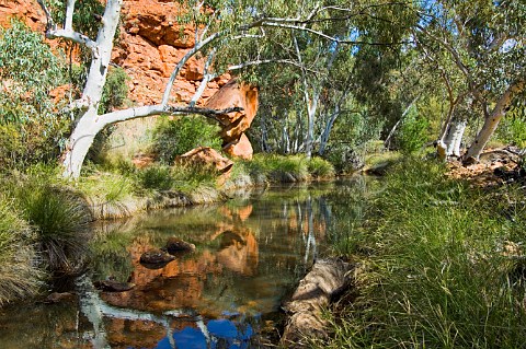 Durba Springs Western Australia