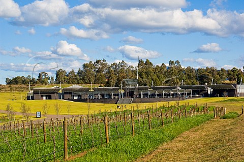 Vineyard and winery at Tempus Two Lower Hunter Valley New South Wales Australia