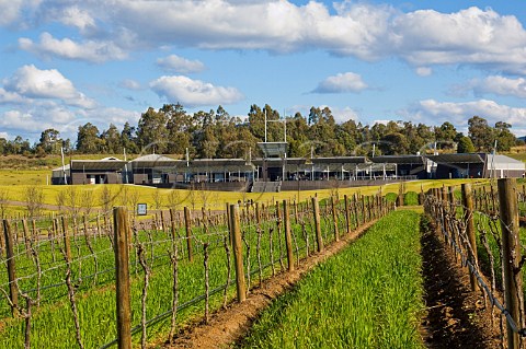 Vineyard and winery at Tempus Two Lower Hunter Valley New South Wales Australia
