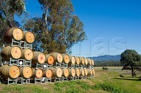 Oak barrels at Allandale Winery Lower Hunter Valley New South Wales Australia