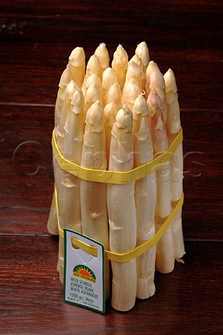 Bundle of white asparagus spears