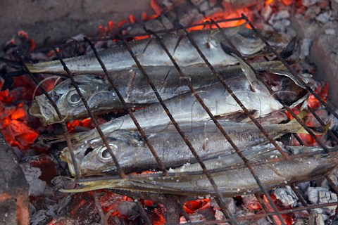 Fresh horse mackerel cooking on the barbecue Portugal
