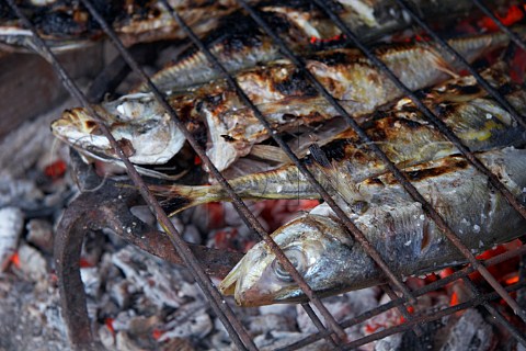 Fresh horse mackerel cooking on the barbecue Portugal