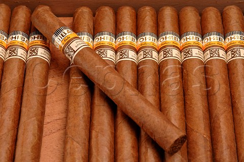 Box of Cohiba Esplendidos cigars Cuba